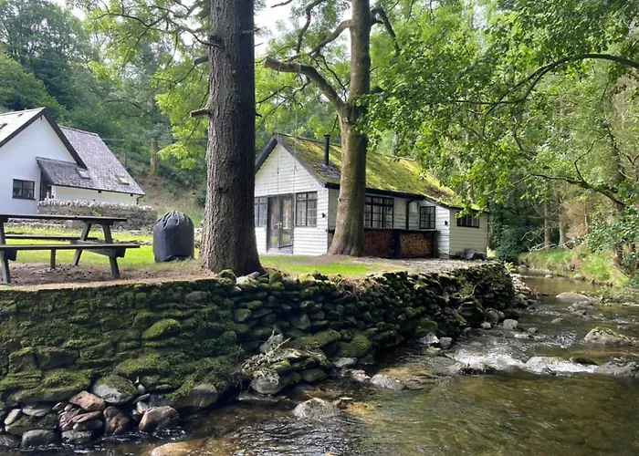 Cuckoo Cabin, Tyn Y Cwm
